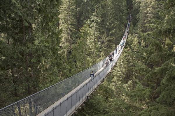 alt="גשר-חבלים-מעל-יער-קולומביה-הבריטית">
