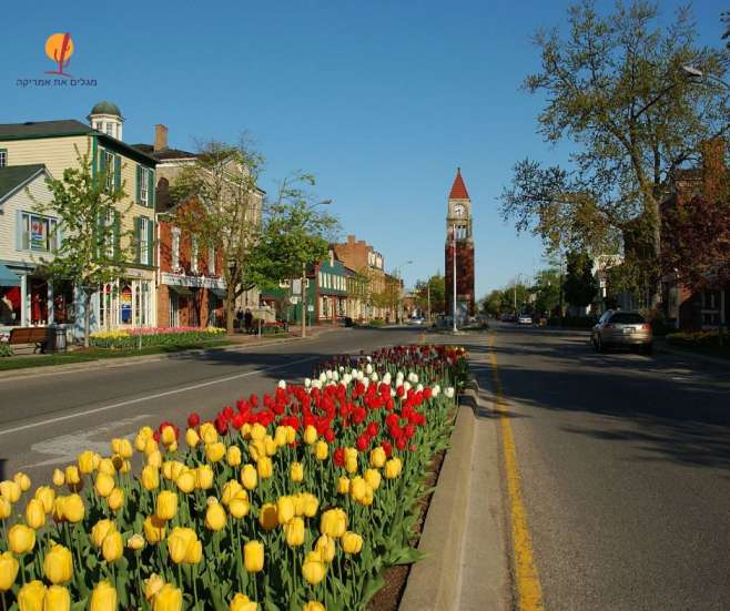 מראה רחוב פסטורלי ופרחים צהובים ב-Niagara-on-the-Lake ליד מפלי הניאגרה