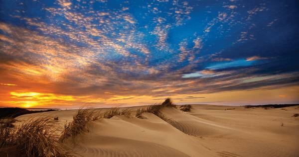 Jockey's Ridge State Park