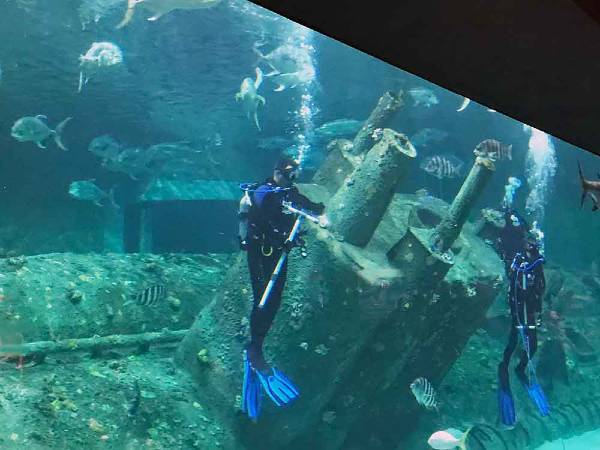 North Carolina Aquarium on Roanoke Island