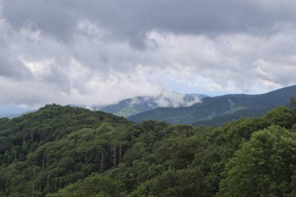 alt="הרים-מיוערים-ועננים-עולים-מהם-הפארק-הלאומי-גרייט-סמוקי-מאונטיינז">