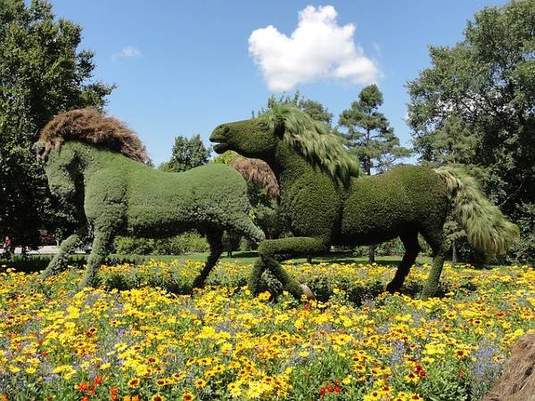 alt="פסלי-סוסים-מדשא-בתוך-שדה-פרחים-הגן-הבוטני-של-מונטריאול">