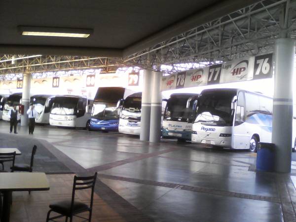 alt="אוטובוסים-בינעירוניים-ממתינים-בתחנה-המרכזית-של-מוריה">