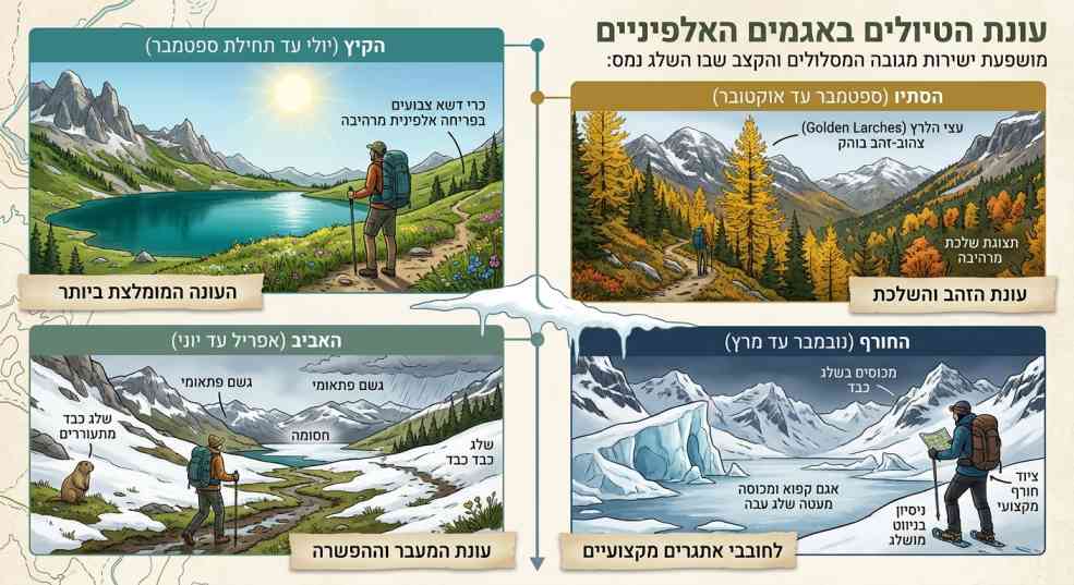 אינפוגרפיקה המפרטת את עונות הטיולים באגמים האלפיניים: הקיץ העונה המומלצת ביותר, הסתיו עונת הזהב והשלכת, האביב עונת המעבר וההפשרה, והחורף לחובבי אתגרים מקצועיים