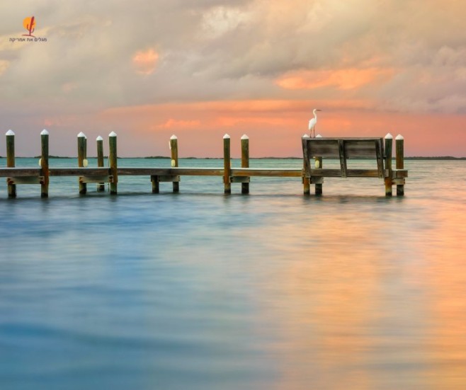 alt="חסידה-עומדת-על-מזח-בשקיעה-פלורידה-קיז">