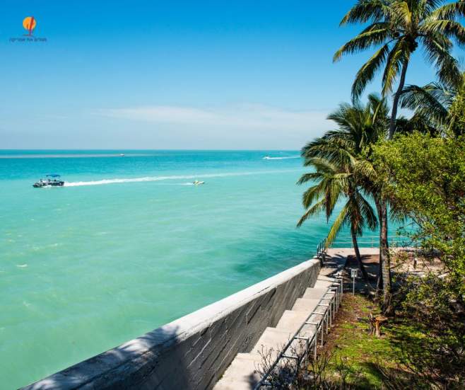 alt="דקלים-ים-כחול-סירה">