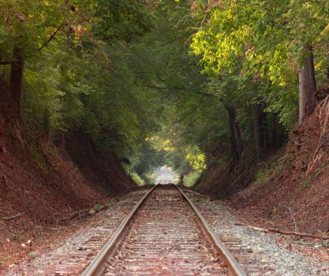 alt=מסילת-ברזל-תחת-עצים-דרום-קרוליינה>