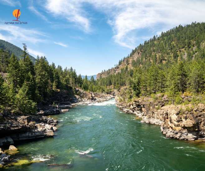 alt="נהר-קוטניי-היער-הלאומי-קוטניי-מונטנה">