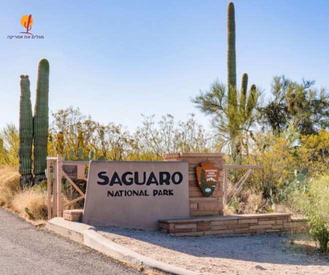 שלט הכניסה הרשמי של הפארק הלאומי סגווארו (Saguaro National Park) עם קקטוסים ענקיים ברקע