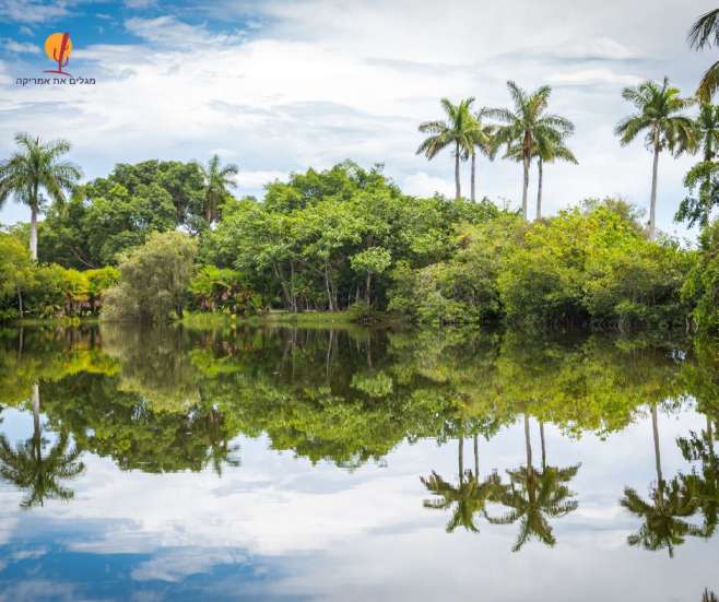 alt="דקלים-ואגם-גן-בוטני-מיאמי">