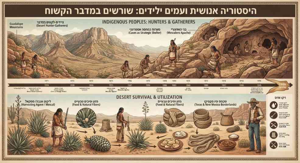 אינפוגרפיקה מפורטת בכותרת "היסטוריה אנושית ועמים ילידים: שורשים במדבר הקשוח", המציגה שתי סצנות איור עם טקסטים בעברית ובאנגלית. החלק העליון מראה ציידים-לקטים (Desert Hunter-Gatherers) ילידים עם קשתות וחיצים מול מערה. החלק התחתון מראה עמים ילידים מאוחרים יותר (Hunters & Gatherers) אוספים צמחים כמו אגבה (Mescal) ומדגיש את השימוש שלהם במשאבי המדבר (Desert Survival & Utilization). ברקע נוף מדברי של הרי גוואדלופה (Guadalupe Mountains).