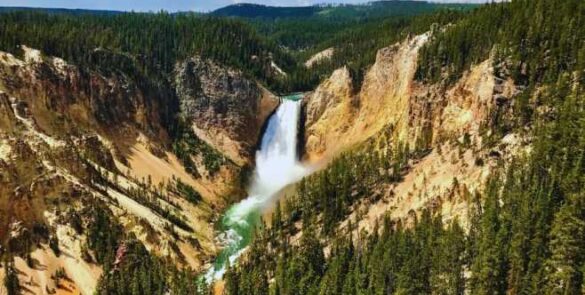 מבט פנורמי על הקניון הגדול של ילוסטון (Grand Canyon of the Yellowstone) עם המפלים והסלעים הצהובים במהלך רוד טריפ בארה"ב