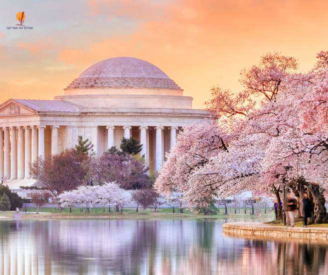 alt="פסטיבל-פריחת-הדובדבן-וושינגטון-הבירה">